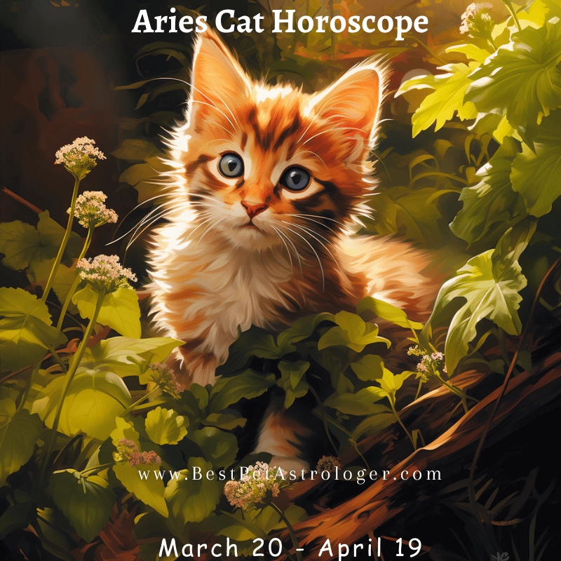 Aries cat horoscope – bold cat sitting in a lush green field, symbolizing Aries' energetic and fearless spirit