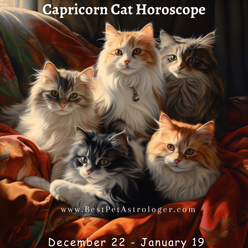 Five cats sitting in a cozy, representing the Capricorn zodiac sign with a vintage and nostalgic atmosphere